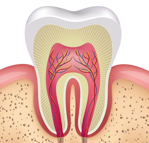 root canal image